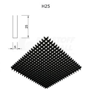 H25.png