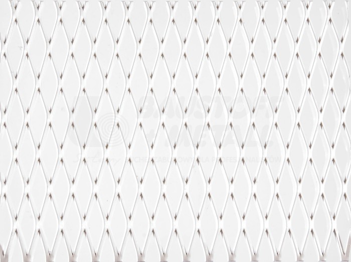 Mesh Metal_RB55 RAL 9010.jpg
