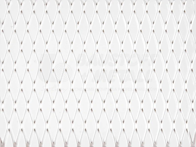 Mesh Metal_RB55 RAL 9010.jpg