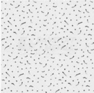 Casoprano Casoforte A 600x600 3,60m2