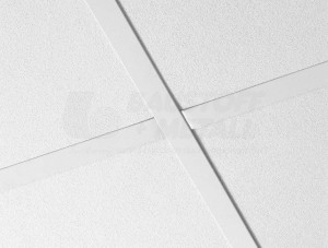 ecophonscaledimage3e851aa6d8032f1d478c99b30b86731170c79026fa8993ce175d5c33cf05c17c.jpg
